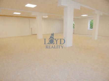 Pronájem obchodní prostory, 130 m²