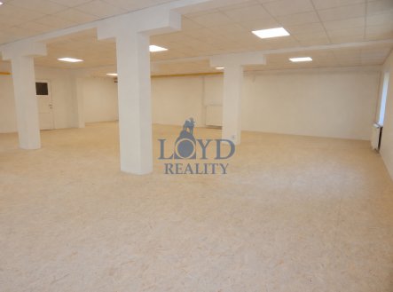 Pronájem obchodní prostory, 130 m²