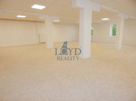 Pronájem obchodní prostory, 130 m²
