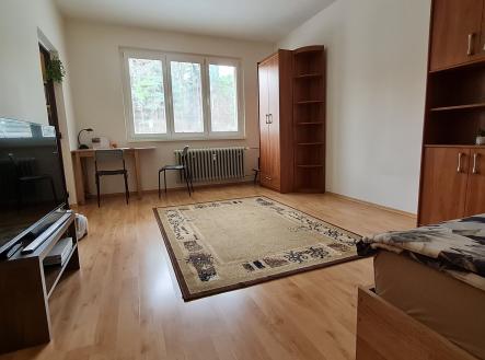 Pronájem bytu, 1+kk, 27 m²