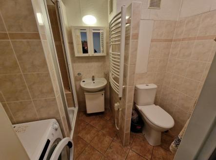 Pronájem bytu, 1+1, 46 m²