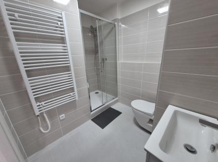 Pronájem bytu, 1+1, 40 m²