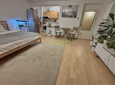 Pronájem bytu, 1+kk, 34 m²