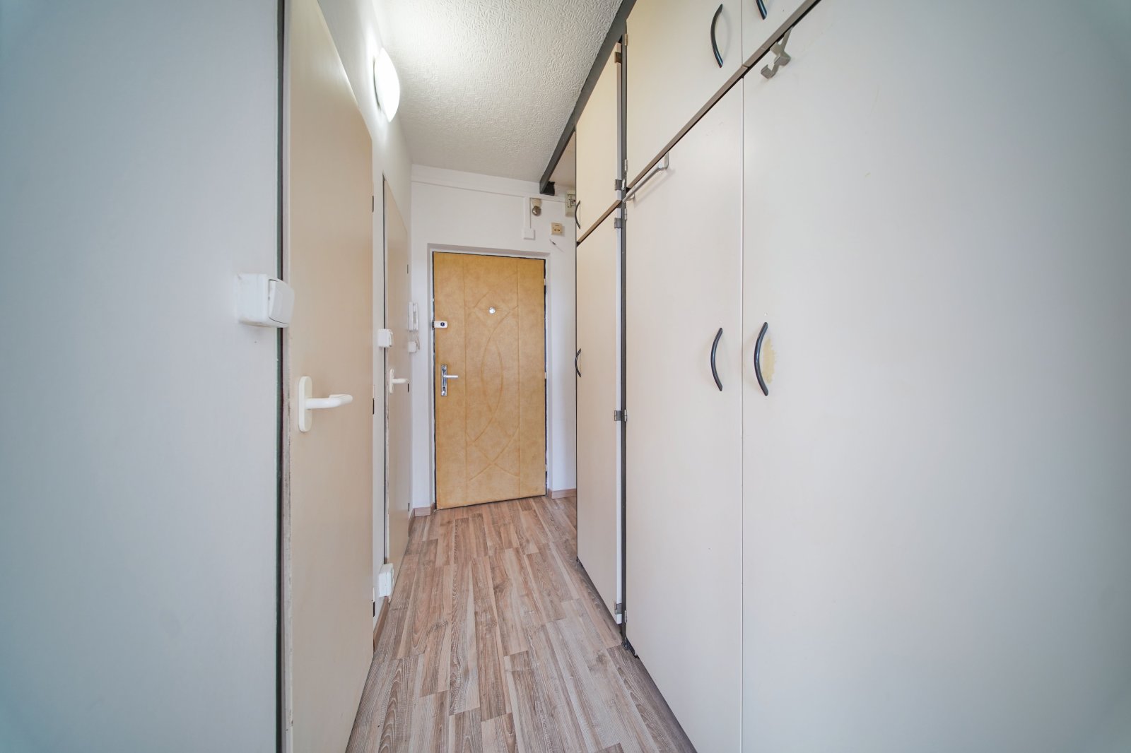 Fotku se nepodařilo načíst.