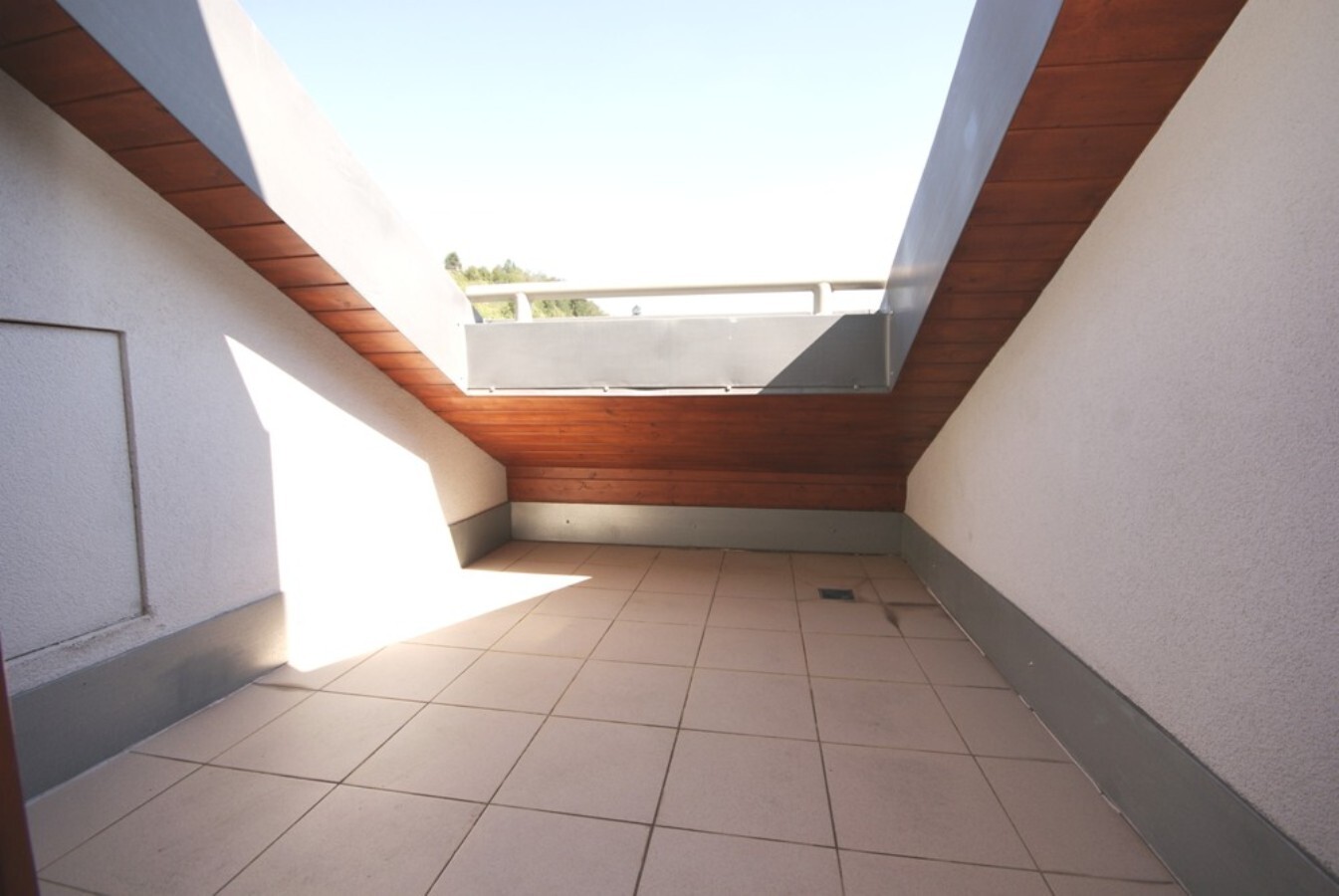 Fotku se nepodařilo načíst.