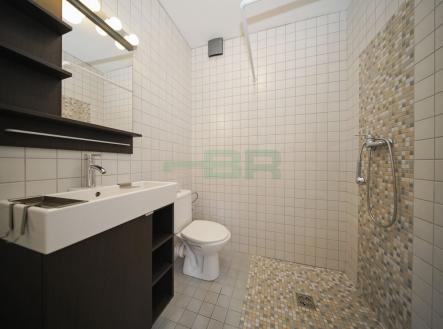 Pronájem bytu, 1+kk, 19 m²