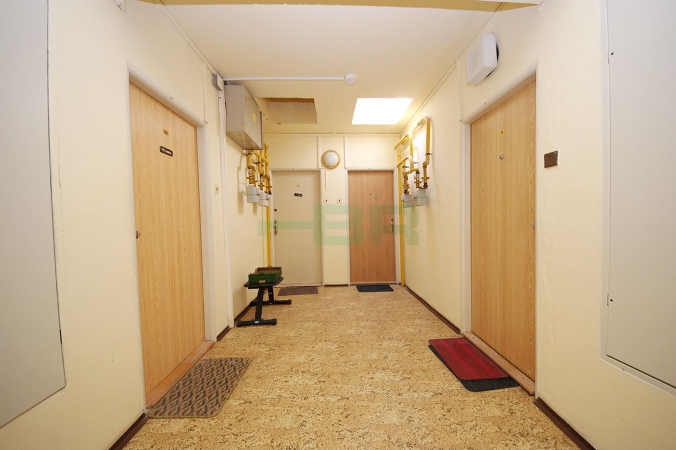 Fotku se nepodařilo načíst.