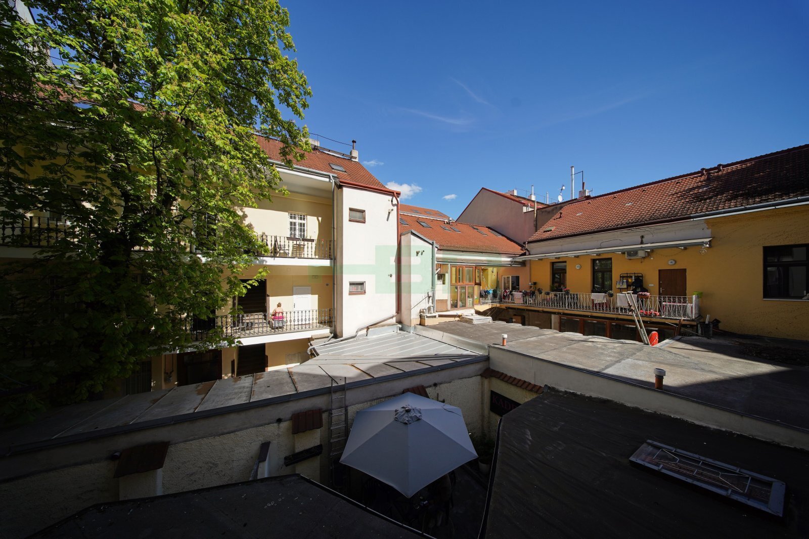 Fotku se nepodařilo načíst.