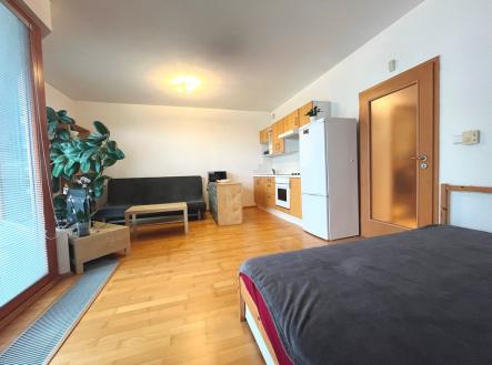 Pronájem bytu, 1+kk, 49 m²