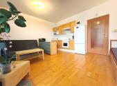 Pronájem bytu, 1+kk, 49 m²