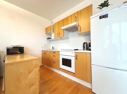 Pronájem bytu, 1+kk, 49 m²