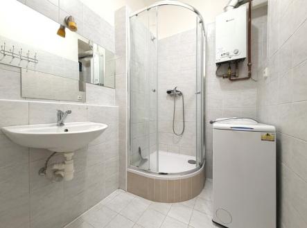 Pronájem bytu, 1+1, 47 m²