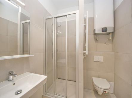 Pronájem bytu, 1+kk, 29 m²