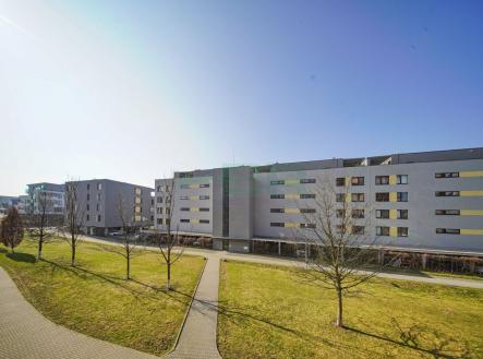 Pronájem bytu, 1+kk, 35 m²