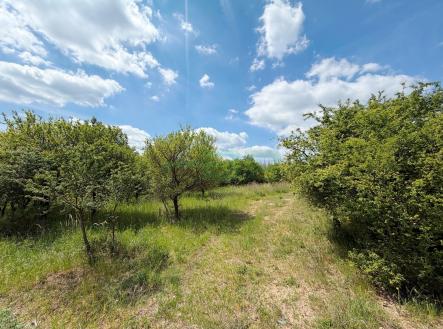 Prodej pozemku, zemědělská půda, 5 755 m²