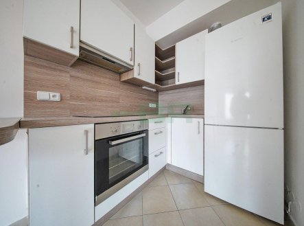 Pronájem bytu, 1+kk, 42 m²