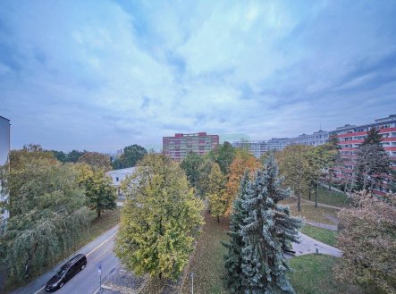 Pronájem bytu, 1+kk, 33 m²