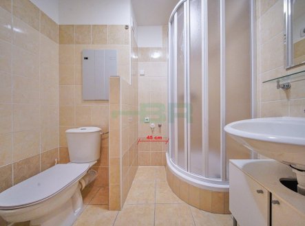 Pronájem bytu, 1+kk, 33 m²
