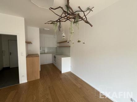 Pronájem bytu, 2+kk, 55 m²