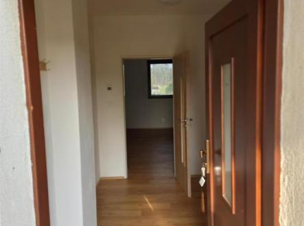 Pronájem bytu, atypický, 71 m²