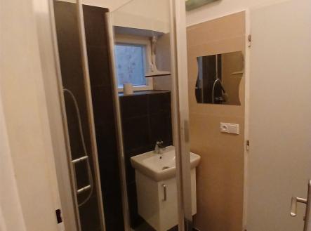 Pronájem bytu, atypický, 45 m²