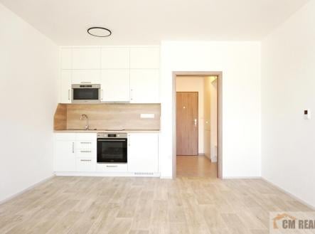 Pronájem bytu, 1+kk, 33 m²