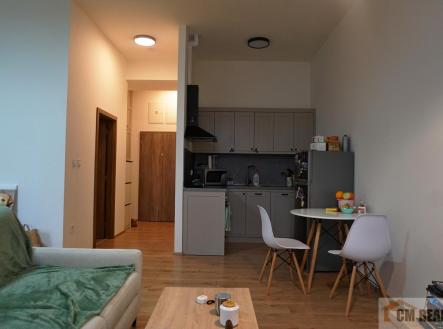 Pronájem bytu, 1+kk, 42 m²