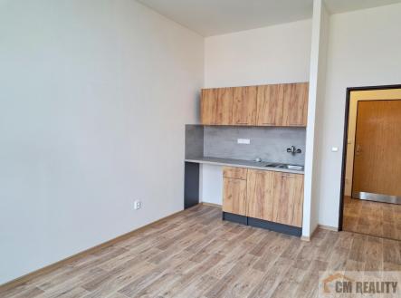 Pronájem bytu, 1+kk, 23 m²