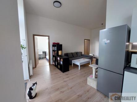 Pronájem bytu, 3+kk, 54 m²