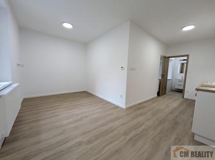 Pronájem bytu, 1+kk, 24 m²