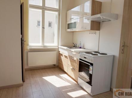 Pronájem bytu, 1+1, 43 m² obrázek