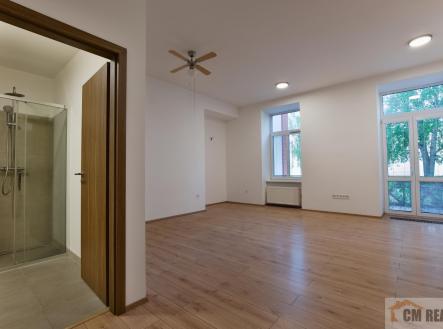 Pronájem bytu, 1+kk, 44 m²
