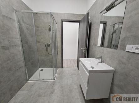 Pronájem bytu, 2+kk, 63 m² obrázek