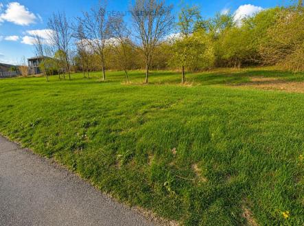 Prodej pozemku pro bydlení, 6 562 m²