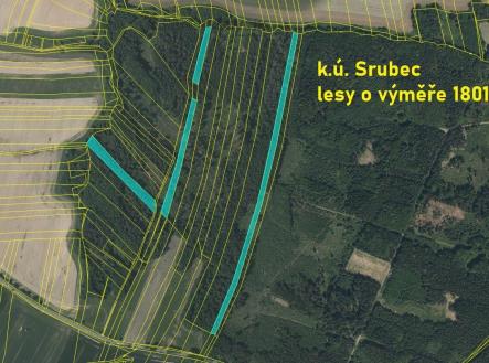 Prodej pozemku, les, 18 018 m² obrázek