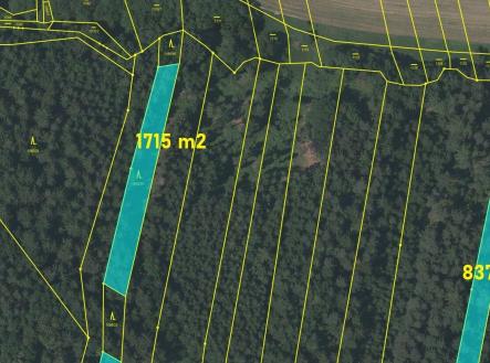 Prodej pozemku, les, 18 018 m²