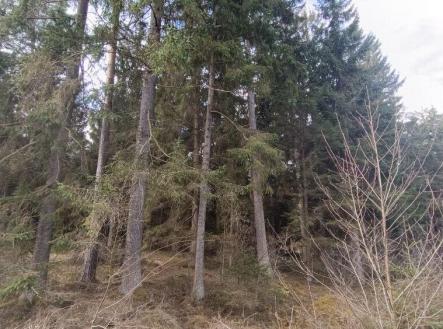 Prodej pozemku, les, 13 783 m²