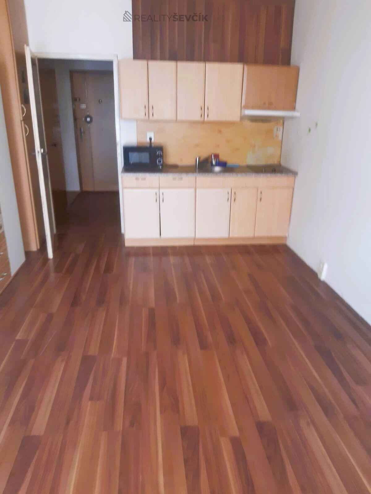 Prodej družstevního bytu 1+kk s lodžií, Dlouhá 31, České Budějovice