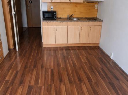 Prodej bytu, 1+kk, 32 m²