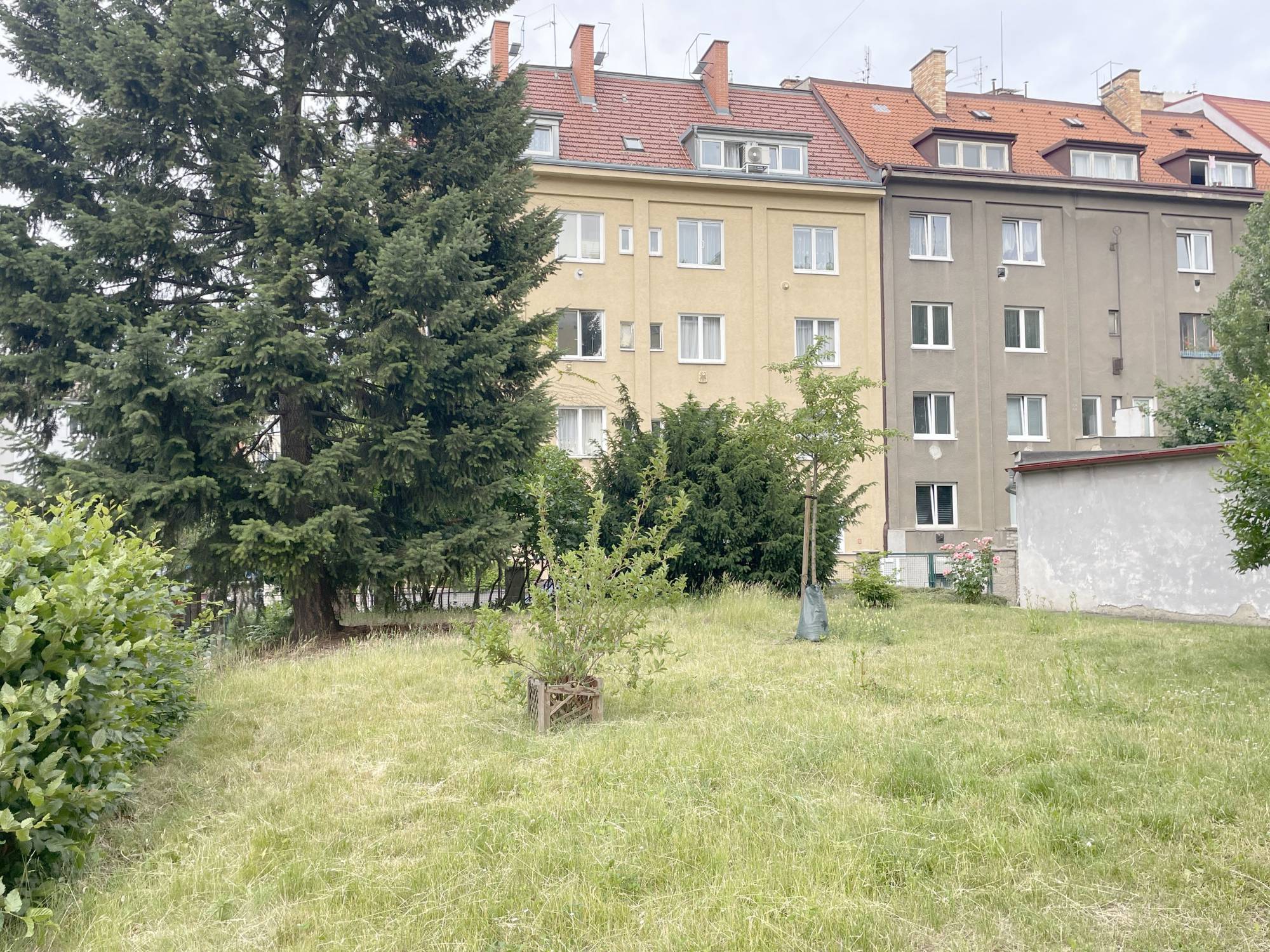 Fotku se nepodařilo načíst.