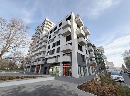 Pronájem obchodní prostor, 248 m²