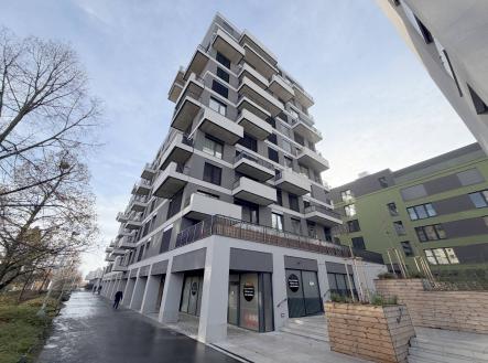 Pronájem obchodní prostor, 248 m²