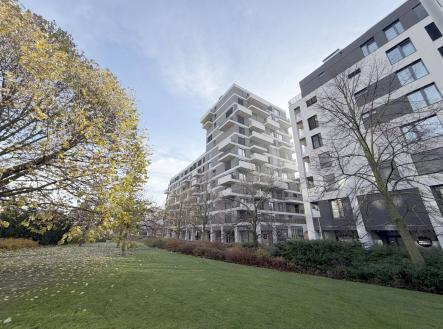 Pronájem obchodní prostor, 248 m²