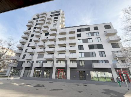 Pronájem obchodní prostor, 248 m²