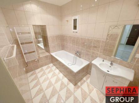 Pronájem bytu, 1+1, 53 m²