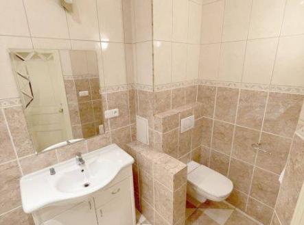 Pronájem bytu, 1+1, 53 m²