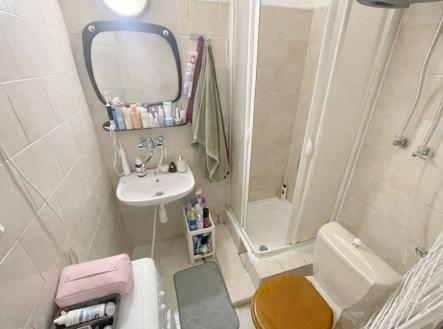 Pronájem bytu, 1+kk, 30 m²