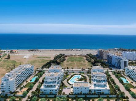 Orchid Casel de Paradise.