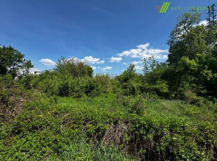 Pronájem - pozemek, ostatní, 4 713 m²
