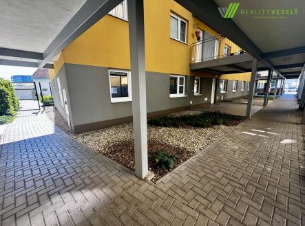 Pronájem kanceláře, 240 m²